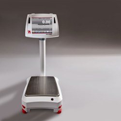 explorer-3.jpg