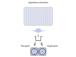 iw-8_schem.png