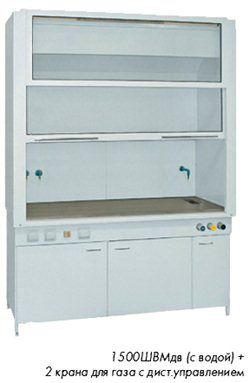 v3(1).jpg