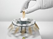 vortexing-on-fv2400.jpg